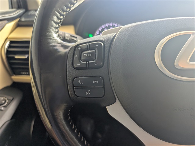2015 Lexus NX 300h Luxury photo 23