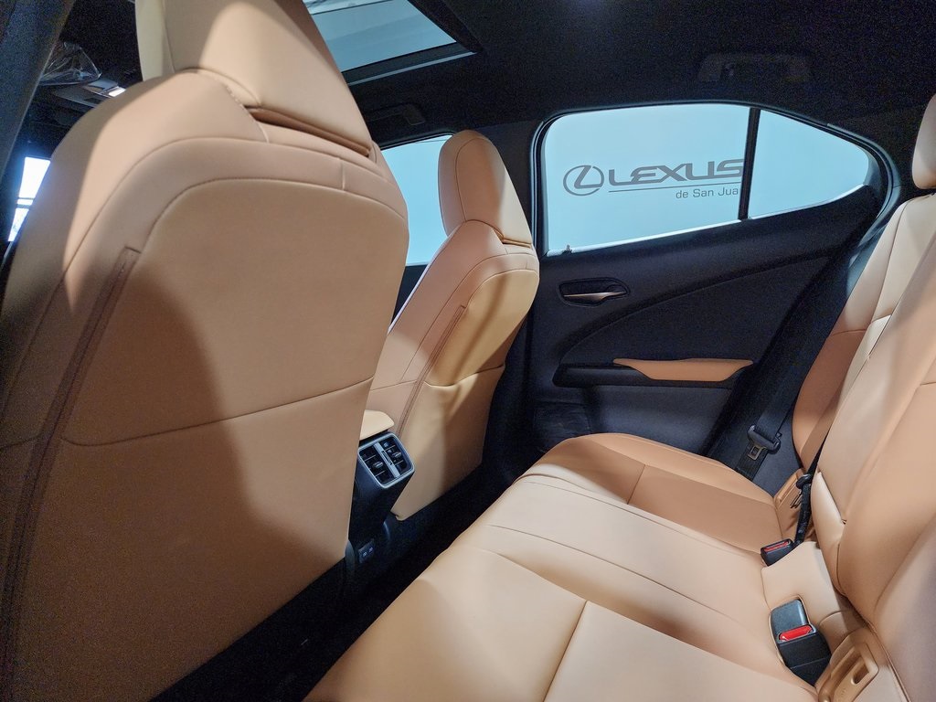 2025 Lexus UX photo 23