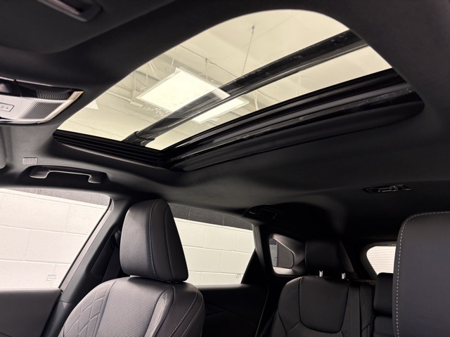 2024 Lexus RX 350h photo 19