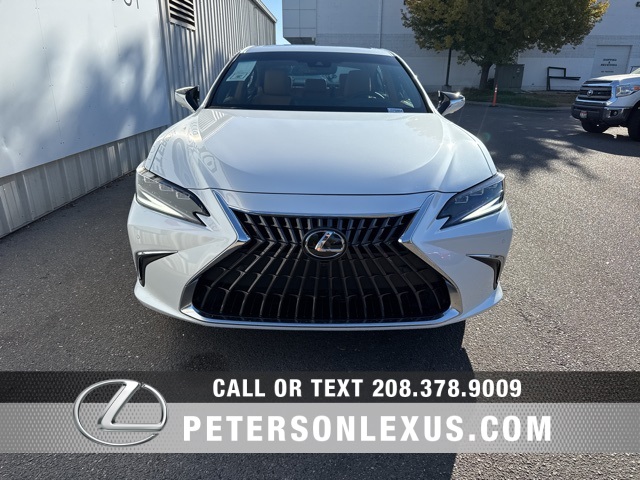 2025 Lexus ES 300h Luxury photo 8