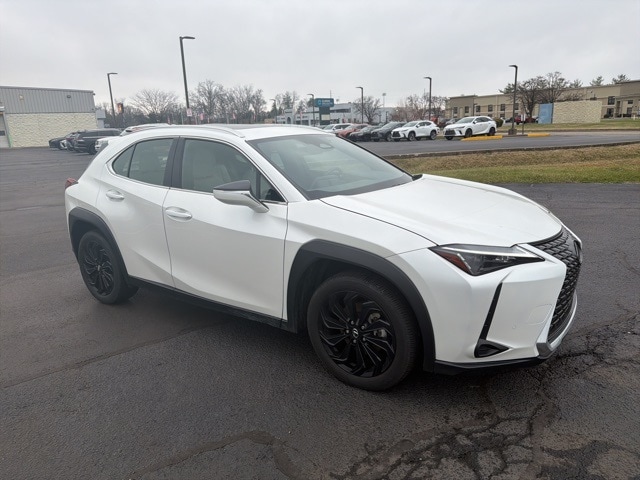 2025 Lexus UX Hybrid 300h's photo