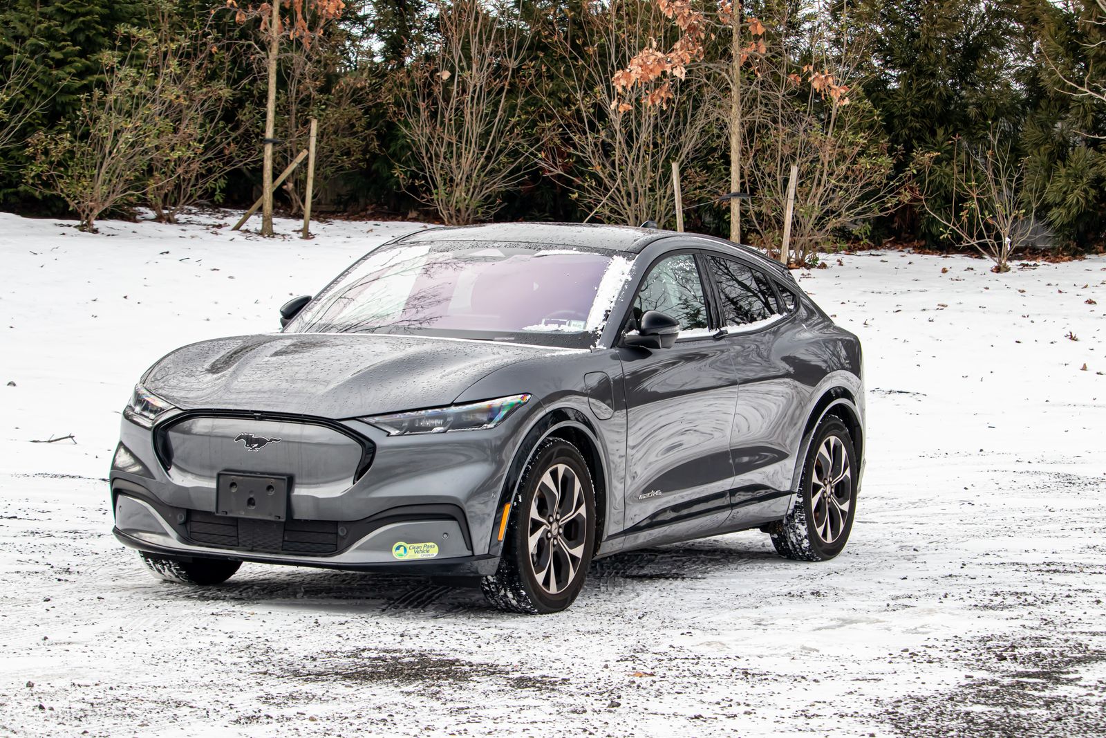 2021 Ford Mustang Mach-E Premium AWD's photo