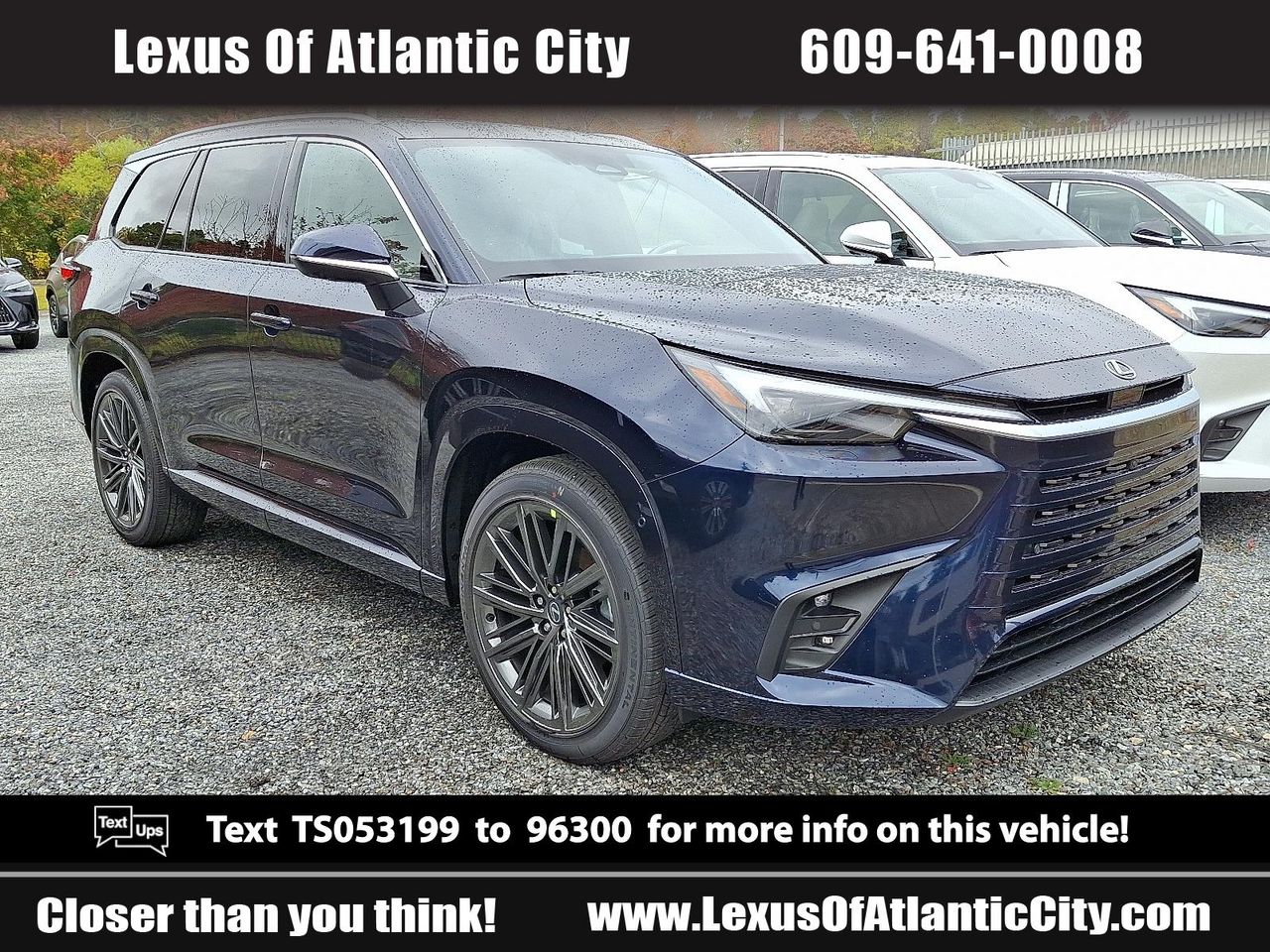 2026 Lexus TX Luxury's photo