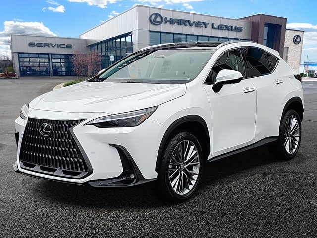 2026 Lexus NX 350's photo