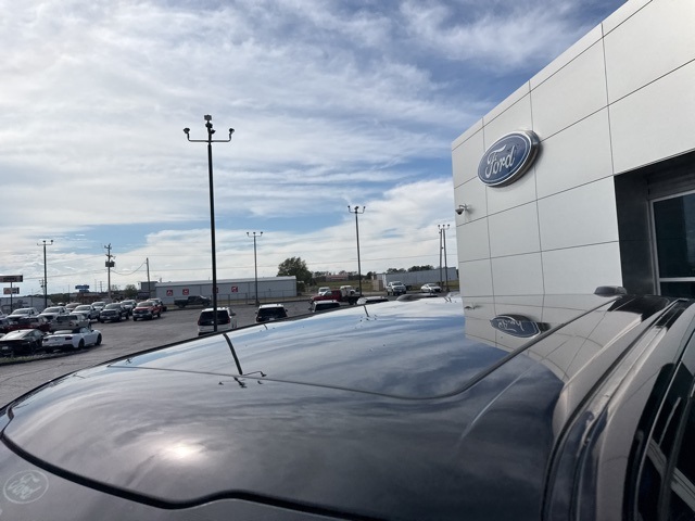 2024 Ford F-150 Platinum photo 9