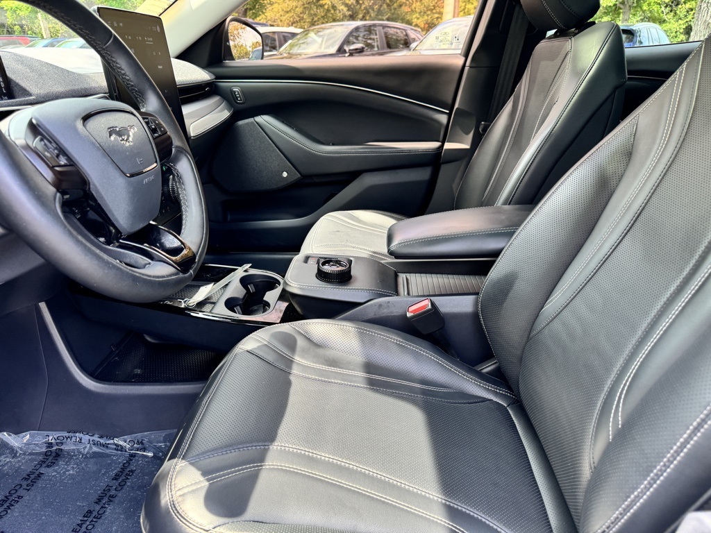 2021 Ford Mustang Mach-E Premium photo 15