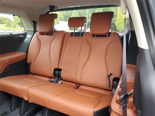 2026 Kia Carnival SX photo 10