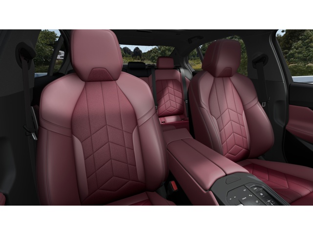 2026 Bmw 550e xDrive photo 10