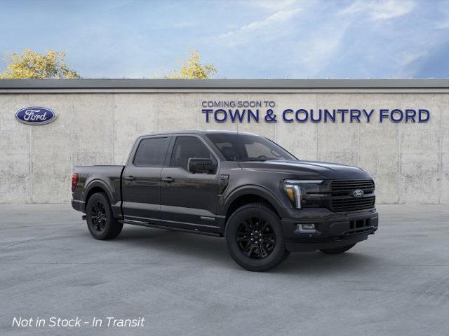 2025 Ford F-150 Platinum photo 25