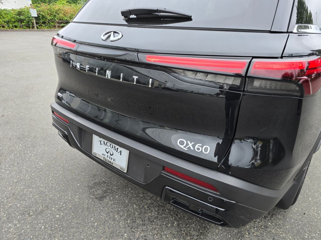 2024 Infiniti QX60 photo 13