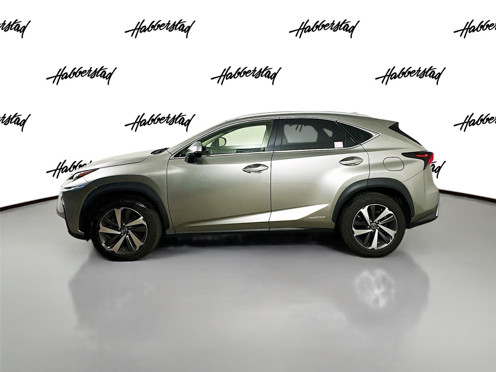 2018 Lexus NX 300h Luxury photo 4