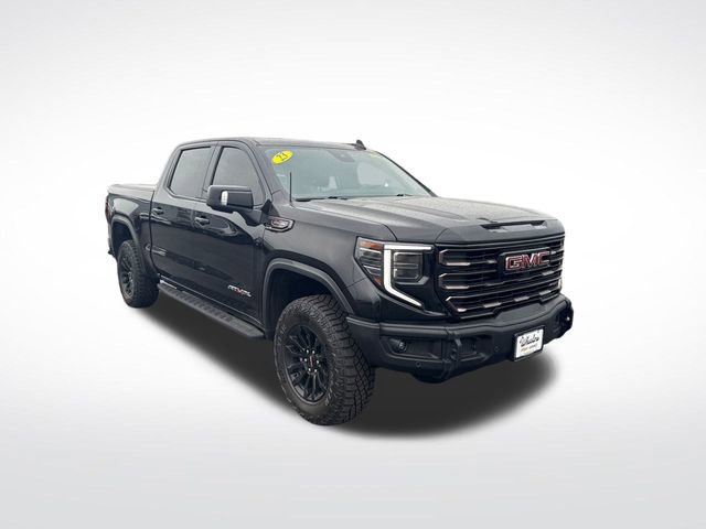 2023 Gmc Sierra 1500 AT4X photo 6