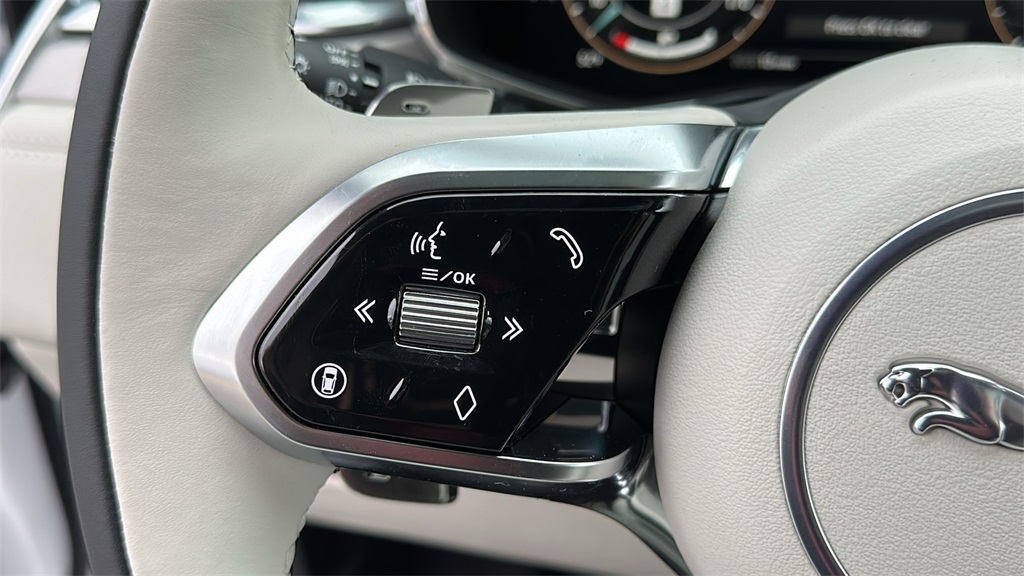 2026 Jaguar F-PACE P250 R-Dynamic S photo 15