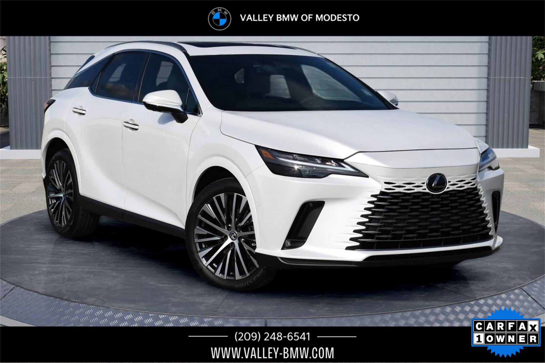 2025 Lexus RX 350's photo