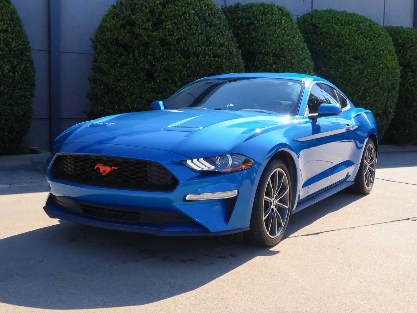 2019 Ford Mustang