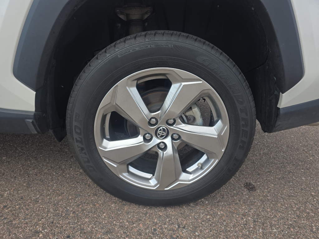 2019 Toyota RAV4 Hybrid Limited photo 9