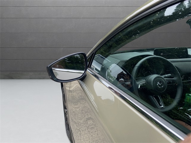 2025 Mazda CX-30 2.5 Carbon Turbo photo 7