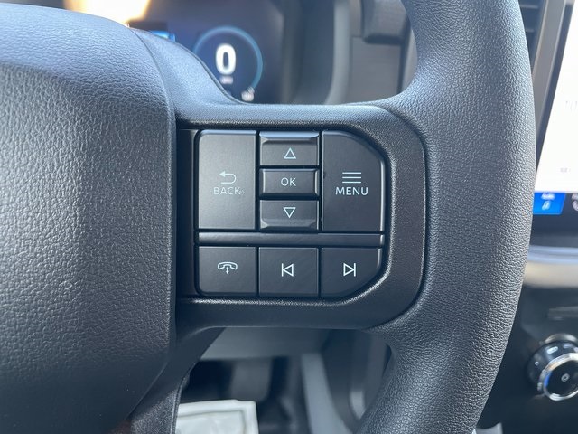 2025 Ford F-150 Lightning photo 22