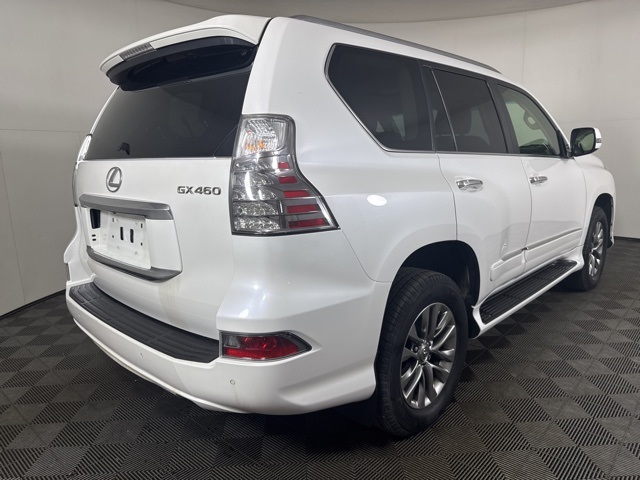 2018 Lexus GX 460 Luxury photo 3