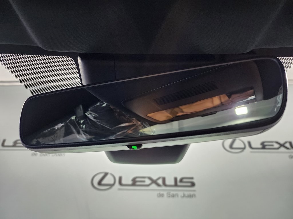2025 Lexus UX photo 17