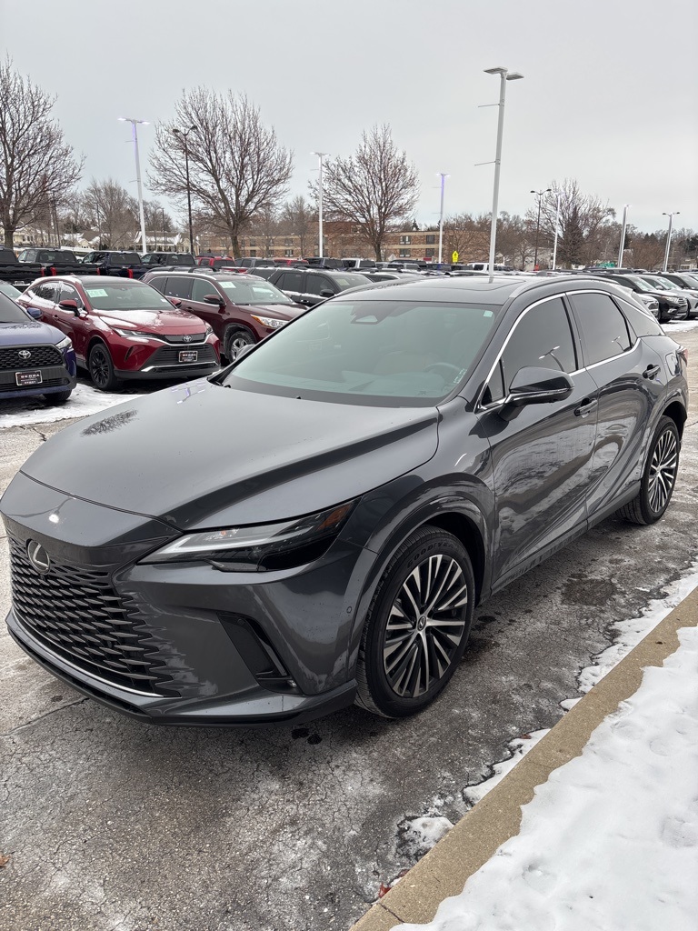 2024 Lexus RX 350's photo