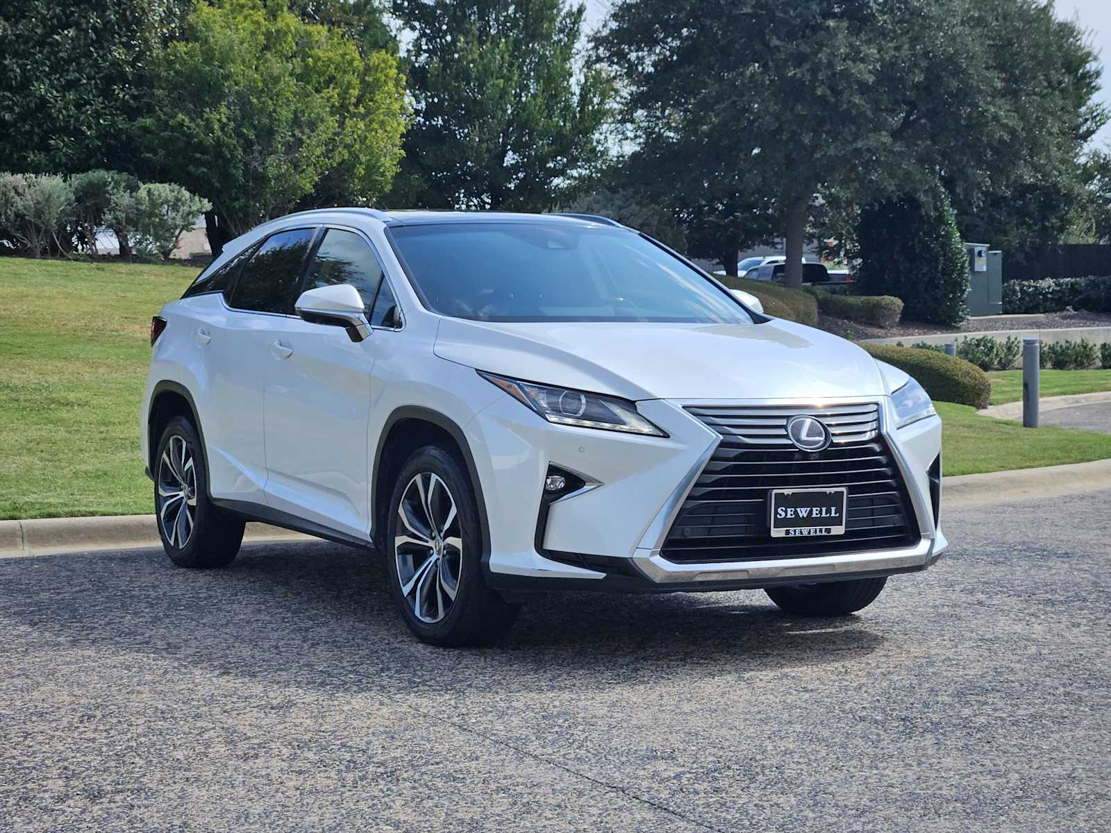 2017 Lexus RX photo 2