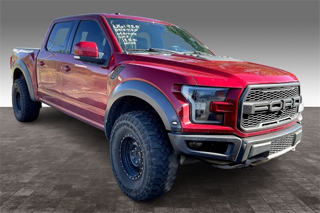 2017 Ford F-150 Raptor photo 2