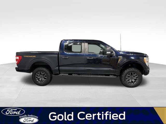 2021 Ford F-150 Tremor photo 3