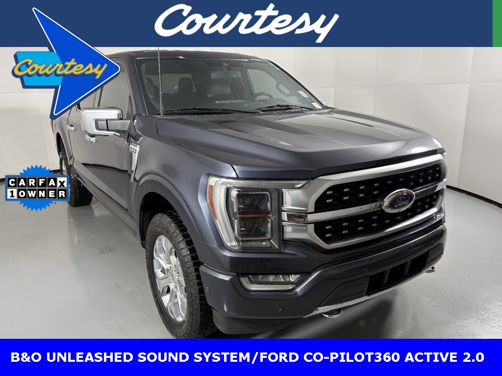 2021 Ford F-150 Platinum's photo