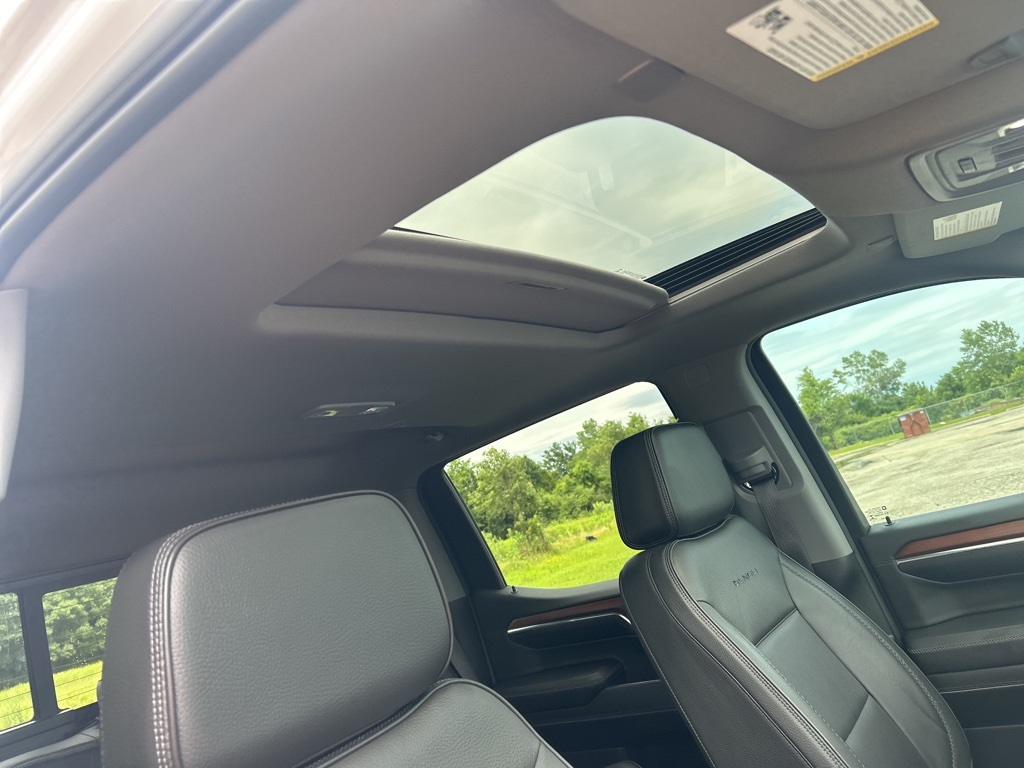 2023 Gmc Sierra 1500 Denali photo 21
