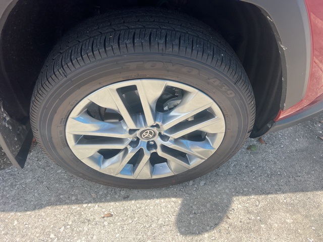 Used 2025 Toyota RAV4 XLE Premium with VIN 2T3C1RFV4SW374742 for sale in Northfield, Minnesota
