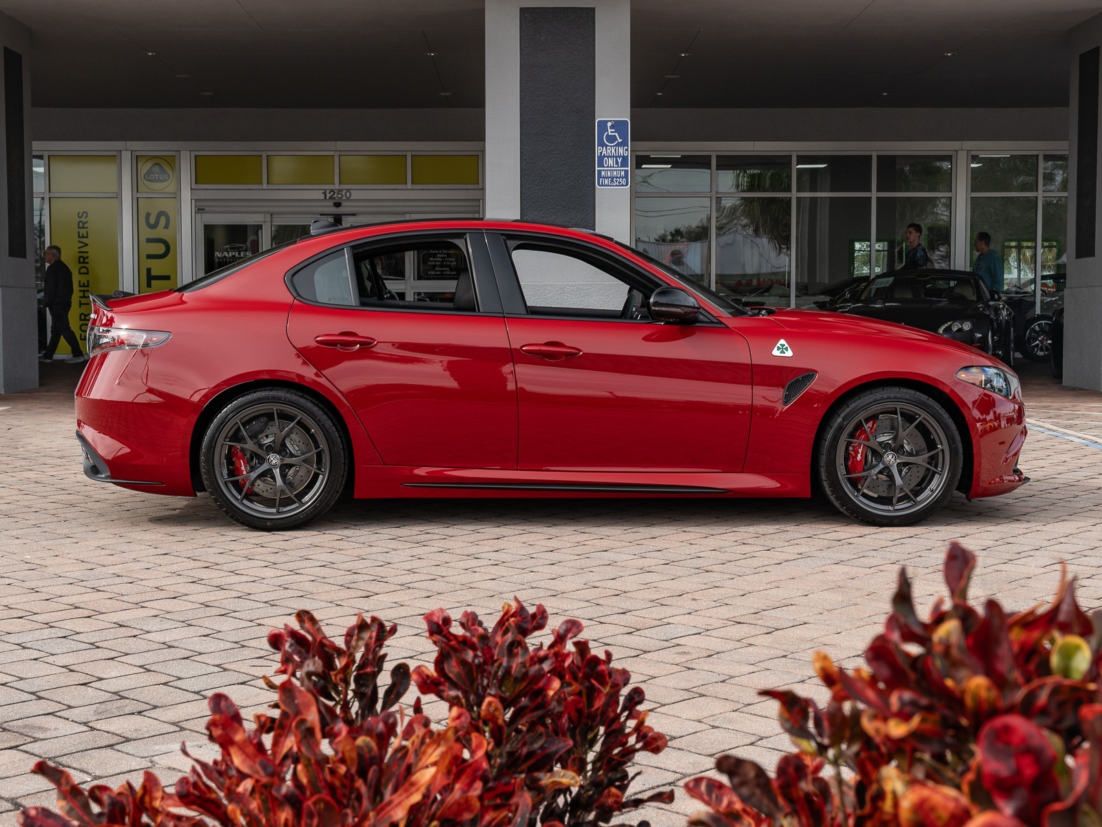 2024 Alfa Romeo Giulia Quadrifoglio photo 19