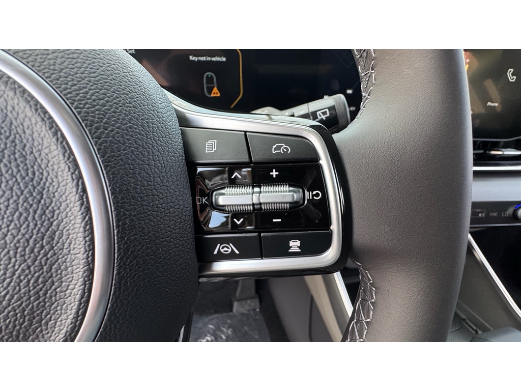 2026 Kia Carnival SX Prestige photo 9