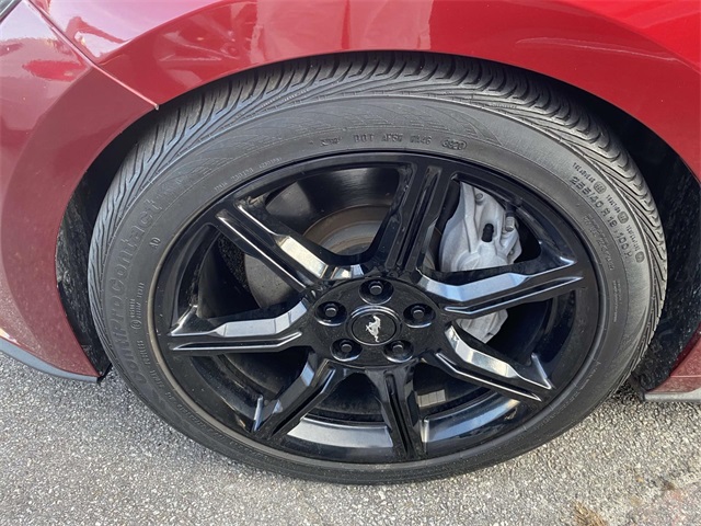 2016 Ford Mustang GT Premium photo 3