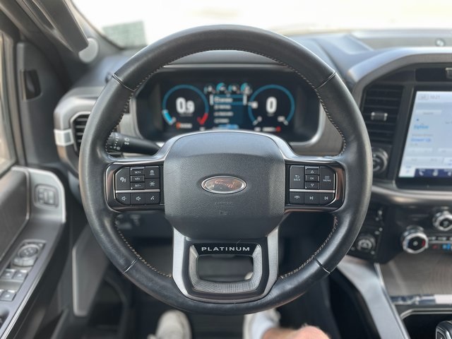 2022 Ford F-150 Platinum photo 21