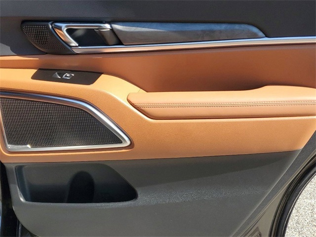2025 Kia Telluride SX X-Line photo 29