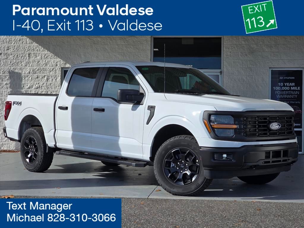 2025 Ford F-150 STX's photo