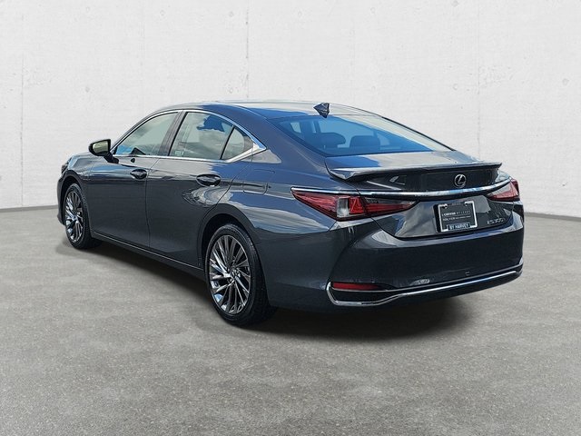 2024 Lexus ES 300h Luxury photo 7