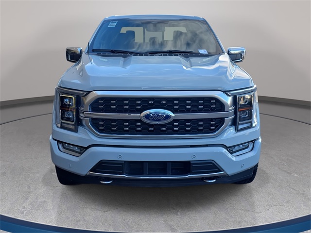 2023 Ford F-150 Platinum photo 2