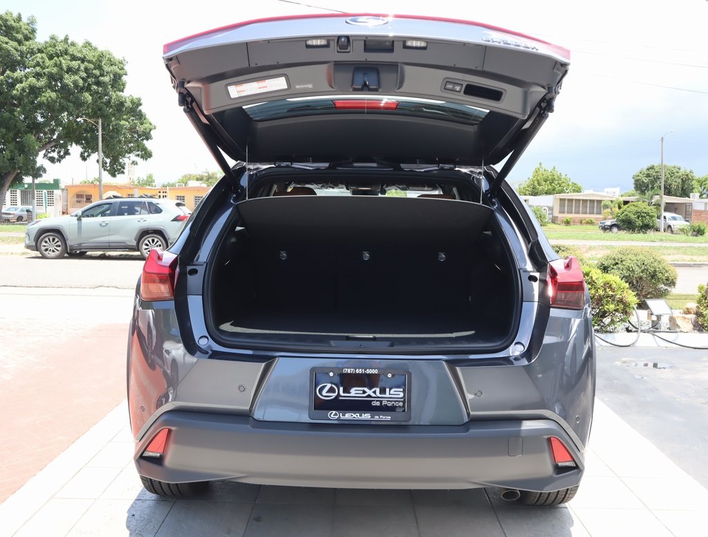 2025 Lexus UX photo 19