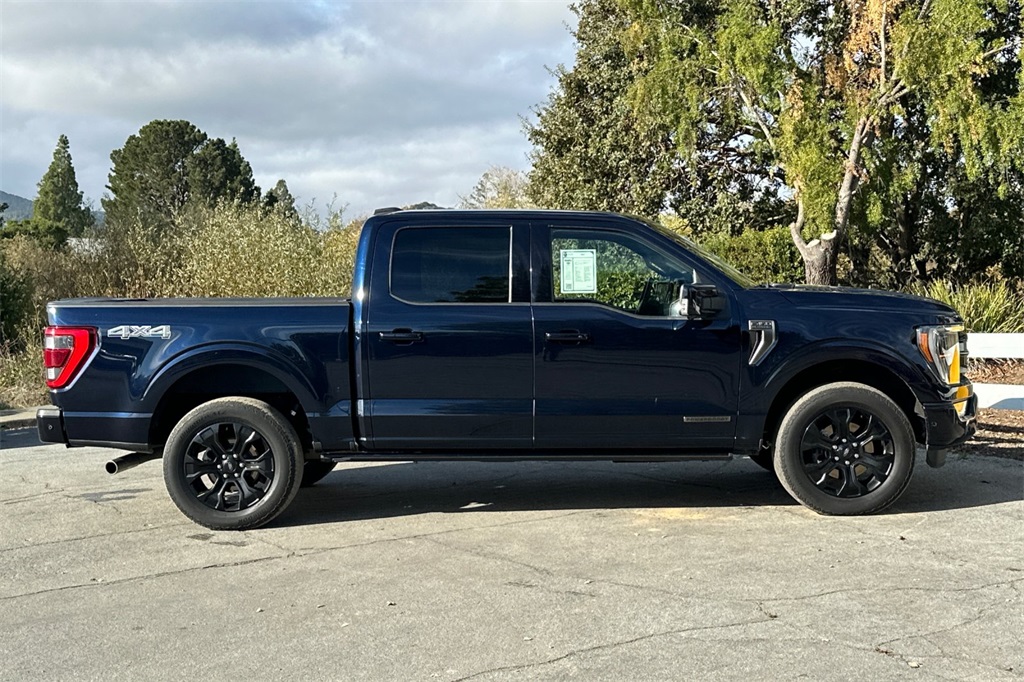 2022 Ford F-150 Platinum photo 3
