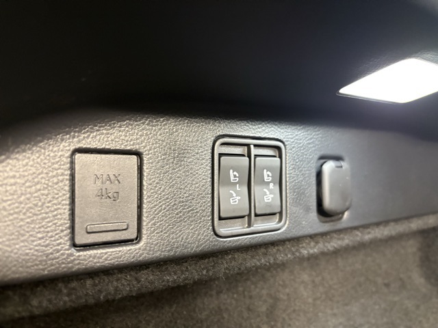 2024 Lexus RX 450h+ Luxury photo 26