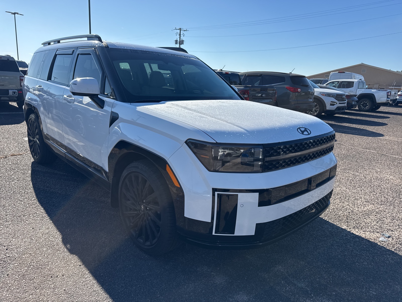 2025 Hyundai Santa Fe Calligraphy's photo