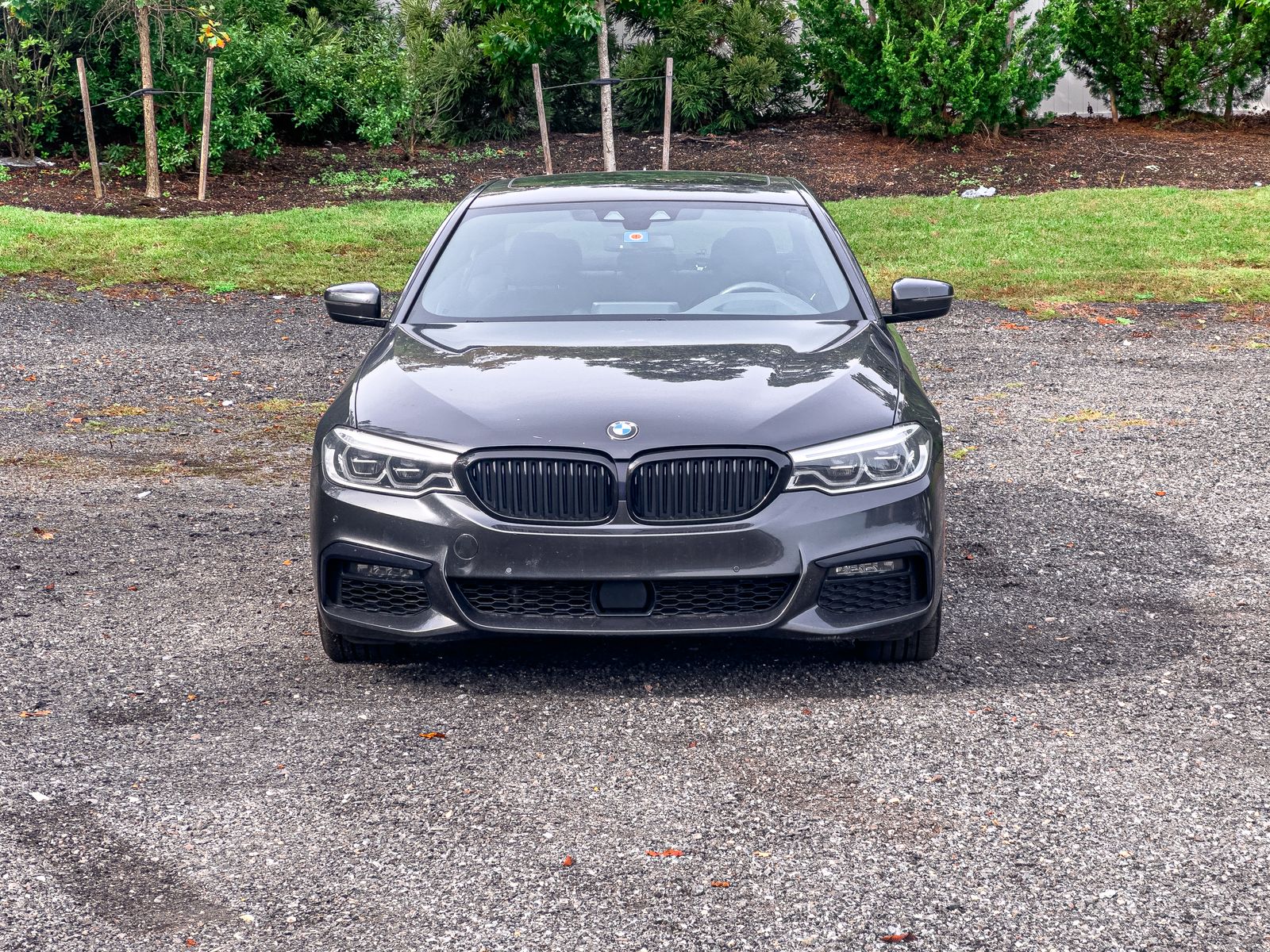 2020 Bmw 530i xDrive Sedan photo 2