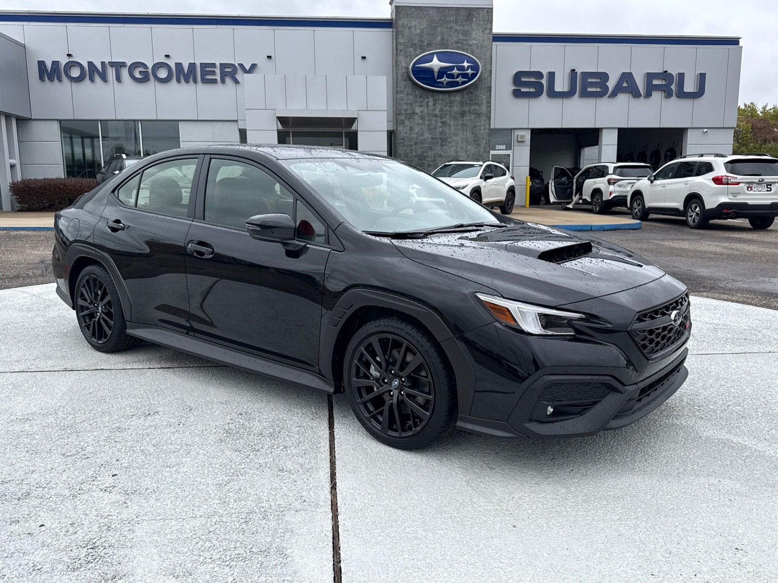 2025 Subaru WRX Limited's photo