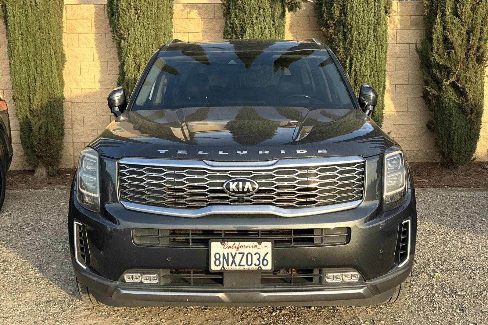 2020 Kia Telluride SX photo 3