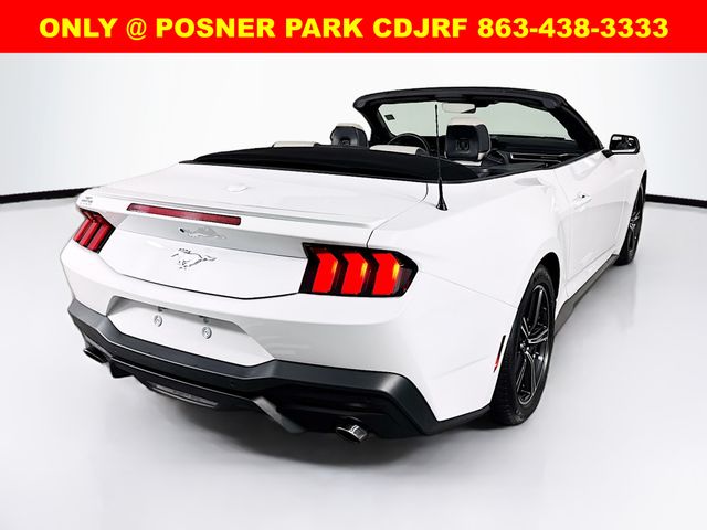 2024 Ford Mustang EcoBoost Premium photo 7