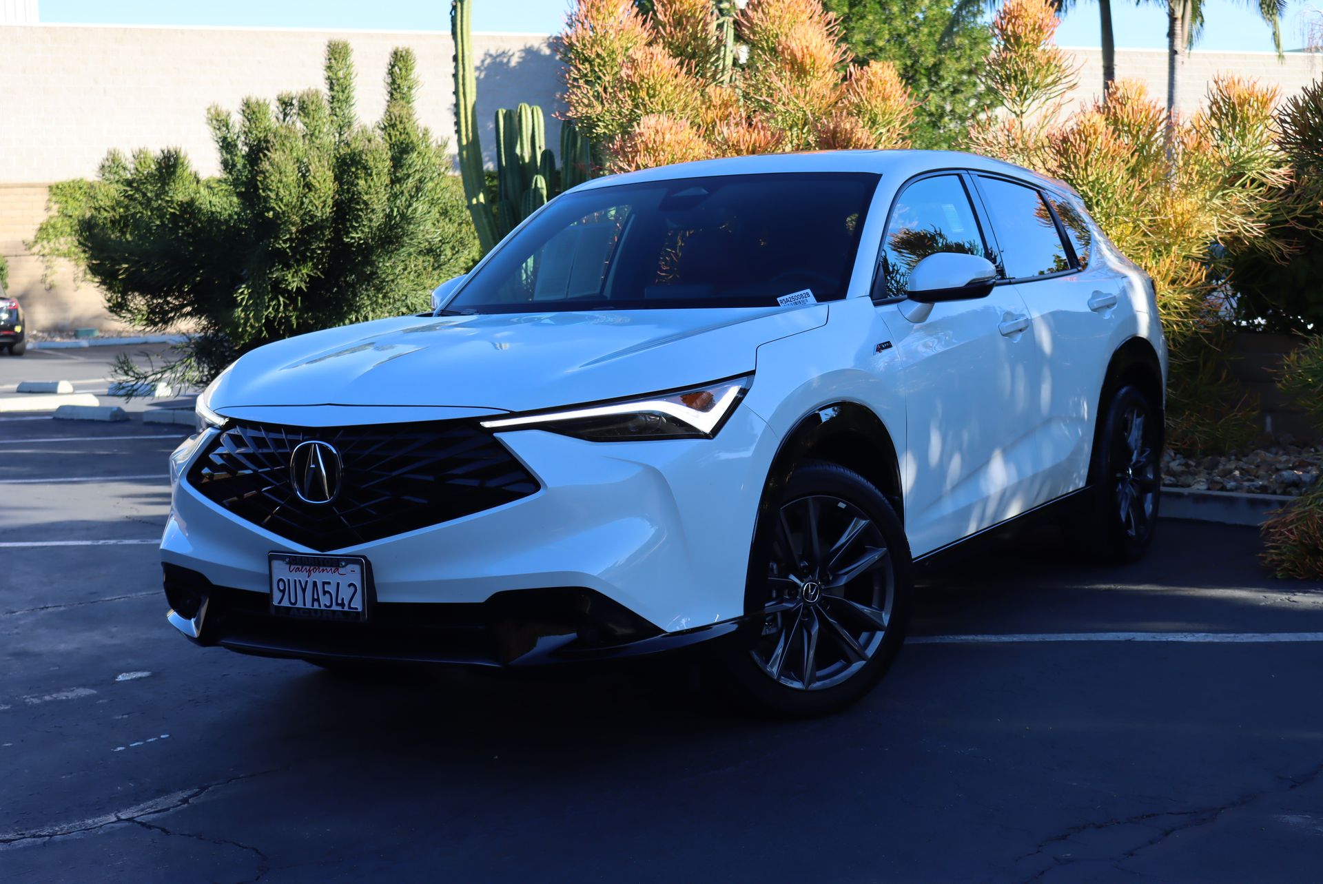 2025 Acura ADX A-Spec Package's photo