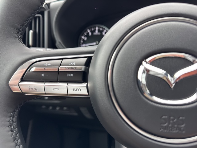 2025 Mazda CX-50 2.5 Turbo Premium Plus photo 16