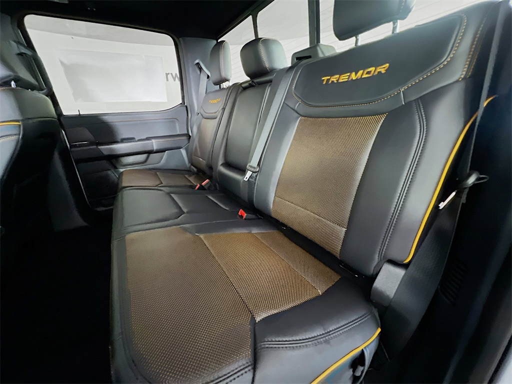 2025 Ford F-150 Tremor photo 26